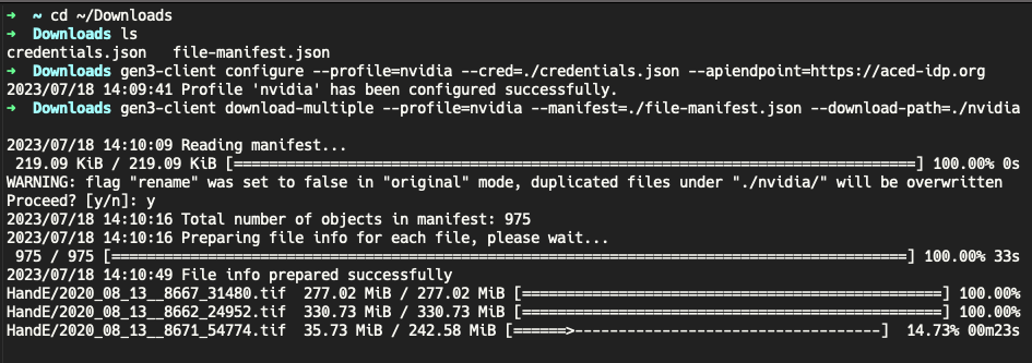 Workflow output download view for execution results