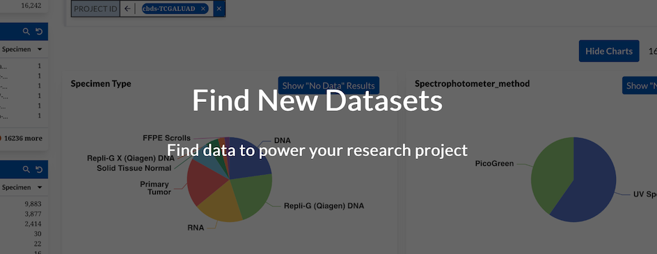 Research project view for data exploration and project management